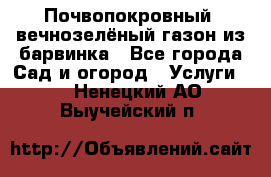 Почвопокровный, вечнозелёный газон из барвинка - Все города Сад и огород » Услуги   . Ненецкий АО,Выучейский п.